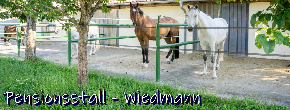 Impressum - pensionstall-wiemann.de